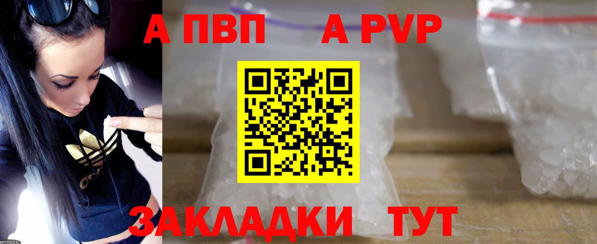 A PVP СК  Ливны 