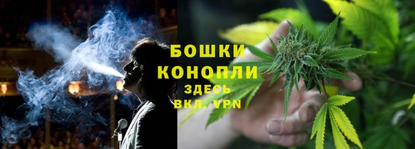 сатива Переславль-Залесский