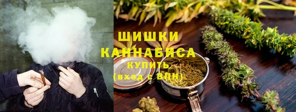 сатива Переславль-Залесский