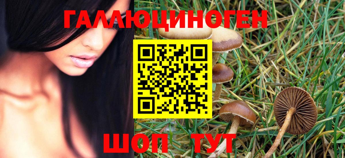 Галлюциногенные грибы мухоморы Ливны
