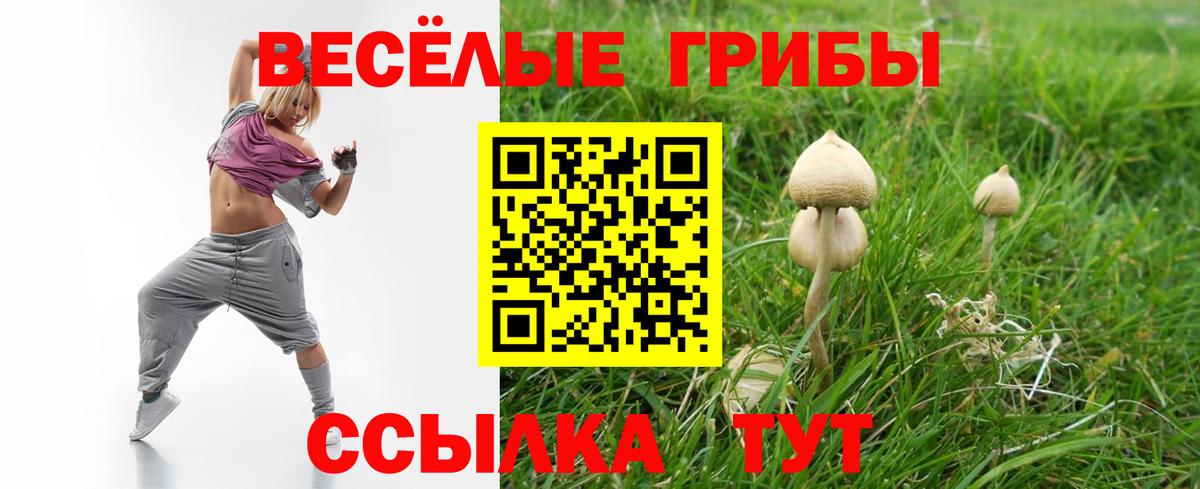 Псилоцибиновые грибы ЛСД  Галлюциногенные грибы GOLDEN TEACHER  Вход с VPN  Ливны 