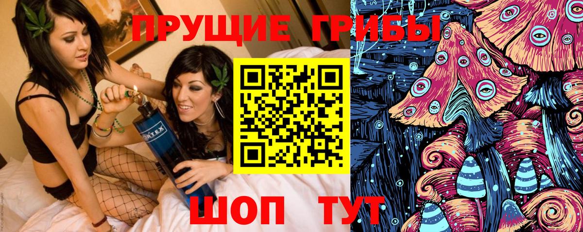 Галлюциногенные грибы мицелий  где купить   Ливны 